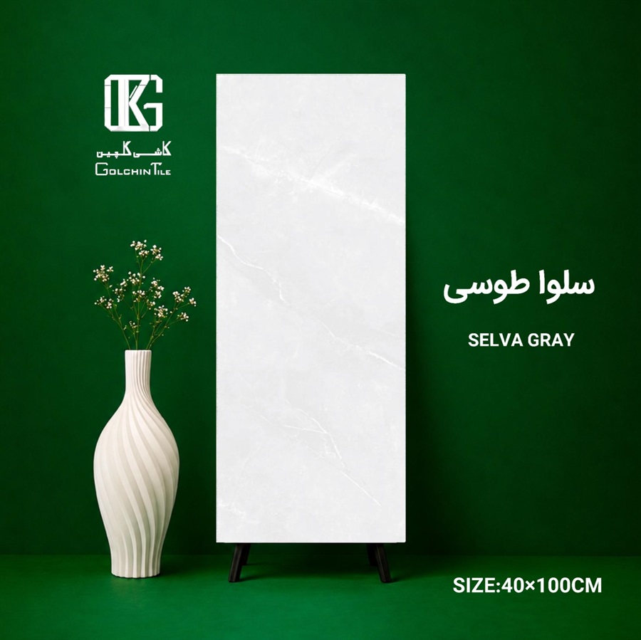 سرامیک سلوا طوسی 100×40